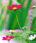 Published on 5/11/2006 ½󷨵ףʦտ֣һ