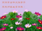 Published on 5/11/2006 ½󷨵ףʦտ֣һ