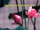 Published on 5/11/2006 ½󷨵ףʦտ֣һ