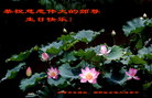 Published on 5/11/2006 ½󷨵ףʦտ֣һ