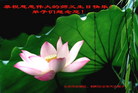 Published on 5/11/2006 ½󷨵ףʦտ֣һ