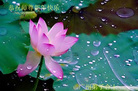 Published on 1/1/2007 ½󷨵ӹףʦ֣ˣ