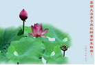 Published on 1/1/2007 ½󷨵ӹףʦ֣ˣ
