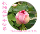 Published on 2/18/2007 ½󷨵ȱʦ꣨