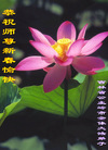 Published on 2/18/2007 ½󷨵ȱʦ꣨