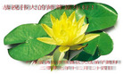 Published on 1/1/2008 ؿѡ½󷨵ӹףʦ֣
