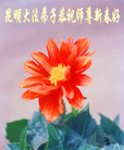 Published on 2/18/2007 ½󷨵ʦ꣨