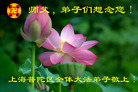 Published on 2/18/2007 ½󷨵ʦ꣨