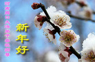 Published on 2/18/2007 ½󷨵ʦ꣨壩