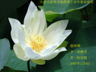 Published on 2/18/2007 ½󷨵ʦ꣨壩