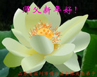 Published on 2/18/2007 ½󷨵ʦ꣨壩