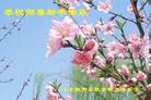 Published on 2/18/2007 ½󷨵ʦ꣨ţ