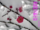 Published on 2/18/2007 ½󷨵ʦ꣨ţ
