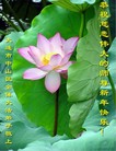 Published on 2/18/2007 ½󷨵ʦ꣨ţ
