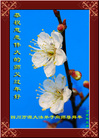 Published on 2/19/2007 ½󷨵ȱʦ꣨ʮһͼ
