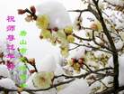 Published on 2/19/2007 ½󷨵ȱʦ꣨ʮһͼ