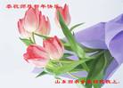 Published on 2/20/2007 ½󷨵ȱʦ꣨ʮģͼ