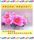 Published on 2/18/2007 ½󷨵ȱʦ꣨ģ