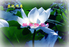 Published on 2/18/2007 ½󷨵ȱʦ꣨ģ