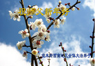 Published on 2/18/2007 ½󷨵ȱʦ꣨ģ