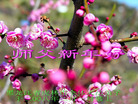 Published on 2/7/2008 ½󷨵ʦ꣨壩