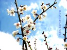 Published on 2/8/2008 ½󷨵ʦ꣨ʮ
