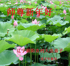 Published on 2/8/2008 ½󷨵ʦ꣨ʮ