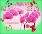 Published on 2/14/2013 ֹ,½󷨵ӹףʦã45
