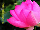 Published on 5/13/2009 ½ӹش󷨺鴫ʮ꣨ʮ200
