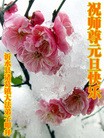Published on 1/1/2012 ֹ,½󷨵ӹףʦԪ֣ - ִ
