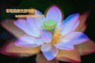 Published on 1/1/2012 ֹ,½󷨵ӹףʦԪ֣ - ִ
