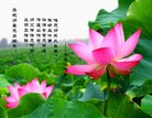 Published on 1/1/2012 ֹ,½󷨵ӹףʦԪ֣ģ - ִ
