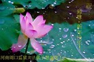 Published on 2/14/2010 ֹ,ǷѺ󷨵ңףʦ - ִ - minghui.org