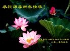 Published on 2/14/2013 ֹ,½󷨵ӹףʦã45
