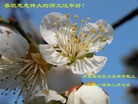 Published on 2/14/2013 ֹ,½󷨵ӹףʦã45
