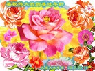 Published on 2/14/2013 ֹ,½󷨵ӹףʦã45
