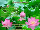 Published on 2/14/2013 ֹ,½󷨵ӹףʦã45
