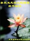 Published on 2/14/2013 ֹ,½󷨵ӹףʦã45
