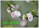 Published on 2/14/2013 ֹ,½󷨵ӹףʦã45
