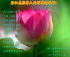 Published on 2/14/2013 ֹ,½󷨵ӹףʦã45

