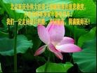 Published on 2/14/2013 ֹ,½󷨵ӹףʦã45
