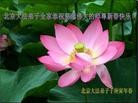 Published on 2/14/2013 ֹ,½󷨵ӹףʦã45
