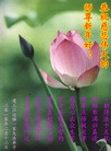 Published on 2/14/2013 ֹ,½󷨵ӹףʦã45
