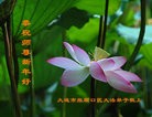 Published on 2/14/2013 ֹ,½󷨵ӹףʦã45
