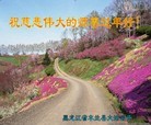 Published on 2/14/2013 ֹ,½󷨵ӹףʦã45

