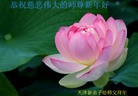 Published on 2/14/2013 ֹ,½󷨵ӹףʦã45
