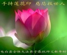 Published on 2/14/2013 ֹ,½󷨵ӹףʦã45

