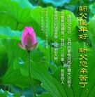 Published on 2/14/2013 ֹ,½󷨵ӹףʦã45
