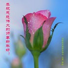Published on 2/14/2013 ֹ,½󷨵ӹףʦã45

