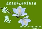 Published on 2/14/2013 ֹ,½󷨵ӹףʦã45
